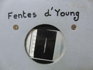 Fente d Young