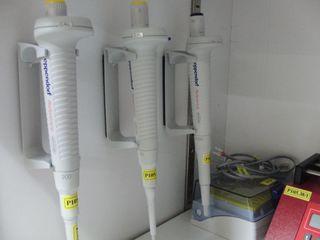 Micropipette  eppendorf    50-200?L   