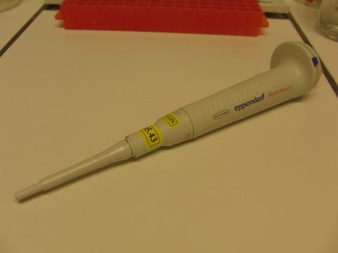 Micropipette  Eppendorf    10-100 µL